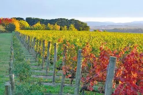 持132签证在澳洲可以这样投资!(图4) 持132签证在澳洲可以这样投资!(图4)